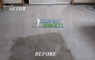 Before and After Carpet Cleaning Fort Worth Texas 6